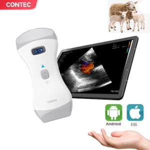 Tragbarer Veterinär Farbdoppler Tierarzt Ultraschall konvex+linear - Picture 1 of 12