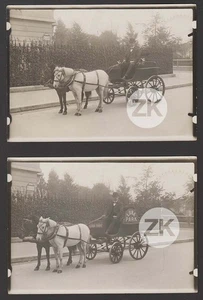 LUNA PARK Attelage Cheval PUBLICITE Grande Roue Attraction PARIS Photo 1900s - Picture 1 of 2