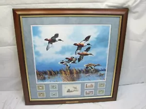 Late Comers David Maas Duck Wildlife Print with World Stamp Framed Polska - Bild 1 von 8