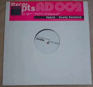 Hamasaki Ayumi Teddy Bear Hybrid Remix -Hybrid Record LP Analog Rare Item Diffic - Picture 1 of 2
