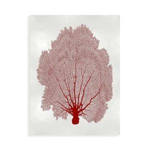 Stampa su Tela su Carta Poster o Quadro Miller Melonie Sea Fan Coral II - Imagen 1 de 2