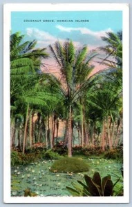 1920 COCOANUT GROVE TERRITORIO HAWAII ISOLA CURIO CO CARTOLINA - Foto 1 di 2