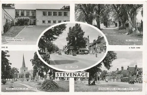 PC13850 Stevenage. Multi view. Tuck. RP. 1955 - Picture 1 of 2