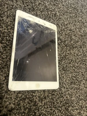 Apple iPad Mini 2, 16 GB, Wi-Fi, 7.9 in – Grey - Image 1 of 2