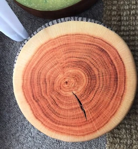 Cut Wood 🪵 Round Home Decor Cushion Floor Picnic Camping Party Bedroom Play - Picture 1 of 3