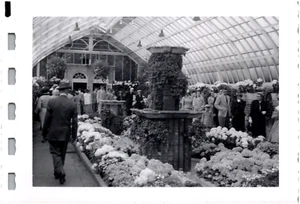 Phipps Conservatory & Botanical Gardens Pittsburgh Pennsylvania PA 1950s Photo - Picture 1 of 2