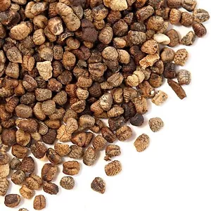 Cardamom Seeds, Decorticated | Bulk | Spice Jungle - Picture 1 of 2