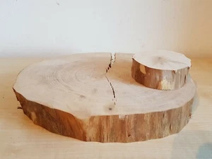 2 Baumscheibe Weide Baumstamm Holz Natur Holzscheibe Basteln Deko ○ 8 + 22cm Riß - Bild 1 von 7