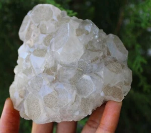 Apophyllite Crystals On Matrix Minerals Specimen #M37 - Picture 1 of 4