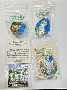 Lot of 4 Hike America Walking Stick Badges Mounts: Colorado Kings Canyon Glacier - Picture 1 of 10