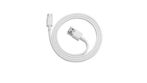 Google USB-C to USB-A 1M Charging/Transfer Cable, Laptop - Picture 1 of 2