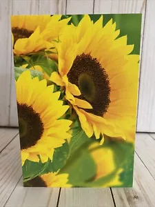 Beautiful Yellow Sunflowers Card Blank Inside Yellow Autumn Fall Anytime New - Picture 1 of 5