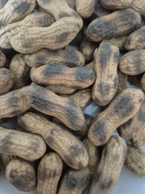 cacahuate tostado en comal - Image 1 of 4