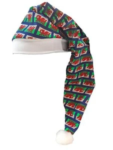 Adults Wales Flag Rugby Football Supporters St Davids Day Night Cap Fancy Dress - Picture 1 of 3