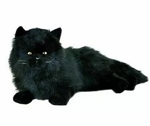 ~❤️~Black Persian CAT Onyx BOCCHETTA 38cm 15" plush soft toy laying BNWT~❤️~ - Picture 1 of 4
