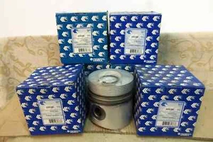 6 NOS 115.888mm PISTON SET BEDFORD 500 Engine PHASE 8.2L DIESEL TM # A350385 - Picture 1 of 1