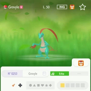 Grovyle Shiny 6 IV 31 100% Legit Livello 50 Competitivo Pokemon Home All Gen - Afbeelding 1 van 1