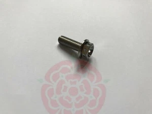 M8x25mm Titan Sechskantkopf Flanschbolzen mit Löchern M8x25 25mm Länge DIN 6921 - Bild 1 von 3