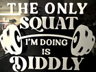 Diddly Squat Funny Humor Vinyl Decal Permanent Sticker Waterproof