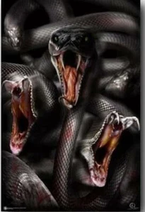 Póster Serpientes Golpeando 23 x 35 8550 - Imagen 1 de 1