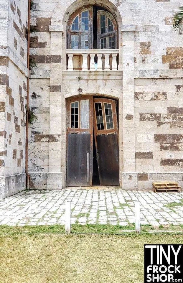 A-147 (W) 12" Fashion Doll Photography Backdrop - Standard- Crumbling Doorway - Image 1 of 1