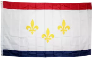 BANDERA DE LA CIUDAD DE NUEVA ORLEANS nueva talla superior 3x5 ft bandera resistente a la decoloración vendedor de estados unidos - Imagen 1 de 3