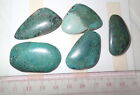 Turquoise Stone Flat Free Form Cabochon 138.5 Carat 5 pieces 27.7 gram
