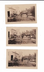 FOTOS VINTAGE: CABALLO, CARRO Y SUS DUEÑOS. LOTE DE TRES IMÁGENES VINTAGE - Imagen 1 de 1