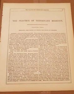1890er Ephemera A-Z TIERMEDIZIN für Pferde Heilmittel Dosen Formeln - Bild 1 von 2