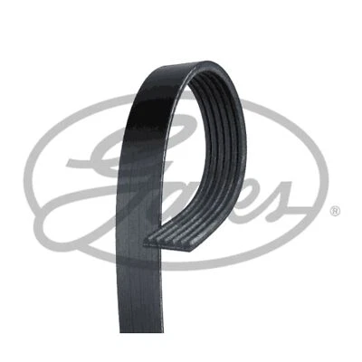 6 Rib Multi V Drive Belt For Lexus GX 4.7 Gates 9091602585 - Image 1 of 4