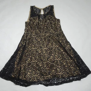 Forever 21 Plus Size 1X Sleeveless Black Lace Overlay Sheer Panel Lined Dress - Picture 1 of 10