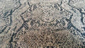 Tela de algodón Safari Jungle piel de serpiente - Vendido - Imagen 1 de 3