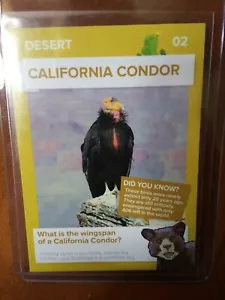 Winn Dixie Go Wild California Condor - Picture 1 of 1