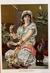 1889 The Sultan’s Favorite Antique Art Print - Bild 1 von 3