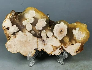 Natural Pink Flower Geode Agate Polished Crystal Slice Slab W Acrylic Base - Picture 1 of 11