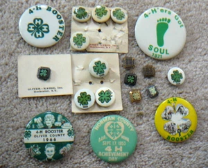 19 alfileres y alfileres vintage 4-H de 1929 a 1971 - premios a la membresía y al líder - Imagen 1 de 7