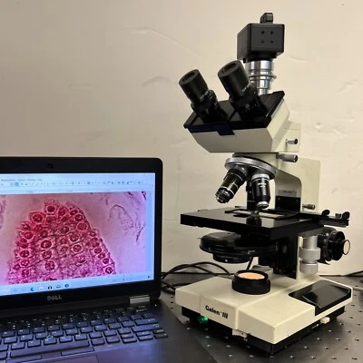 Microscopio de contraste Bausch and Lomb Cambridge Leica Galen 3 fase trinoc Foto 1 de 4