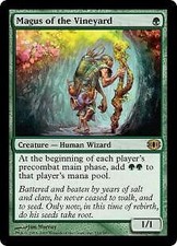 Magic The Gathering Future Sight Single Card Rare Magus of the Vineyard #132