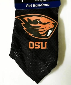 MAGLIA BANDANA MEDUM/LARGE OREGON STATE CASTORI CANE GATTO ANIMALE DOMESTICO A MAGLIA - Foto 1 di 1