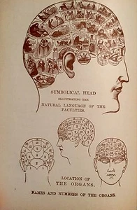 1887 Dr. Chase's Last Receipt Book And Household Physician Memorial Edition Illu - Picture 1 of 12