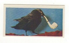 National Pets 1961. #08 Jackdaw