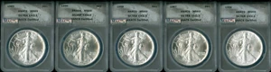 1986 TO 2025 SILVER EAGLE ANACS MS69-70 MAC SPOTLESS 50 OUNCES COINS + P MINTS . - Picture 1 of 12