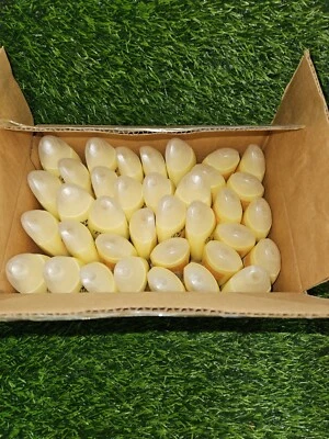 Dove Go Fresh Energize Therapy Conditioner 1.7 FL Oz Travel Size Box Of 36 - Image 1 of 3