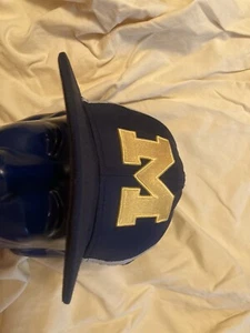 Michigan Wolverines Nike True Dri Fit SnapBack Hat Cap - Picture 1 of 5
