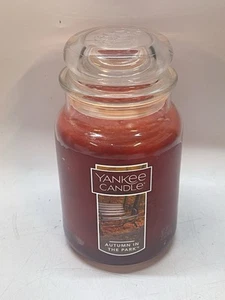 Yankee Candle Autumn In The Park Large 22oz Jar - Picture 1 of 3