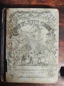 How Plants Grow Asa Gray 1858 500 Wood Engravings Pressed Plants Inside - Picture 1 of 12