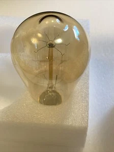 Edison bulb st64 (5 Pack) dimmable - Picture 1 of 3