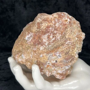 Geoda grande sin abrir 4-1/2" rojo rosa cuarzo cristal mineral ferruginoso natural - Imagen 1 de 8
