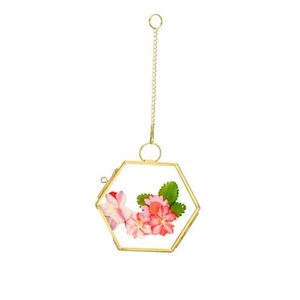 Mini Glass Floating Frame for Dried Flowers Plants, Glass Pressed Flower Gold - Picture 1 of 8