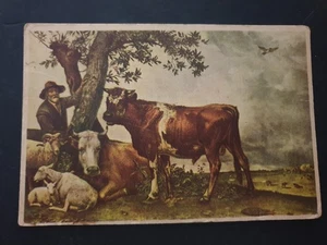 Cartolina Pastore Vacche Pecore (CR1413) - Picture 1 of 2